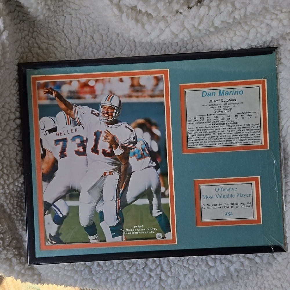 Dan Marino Framed Miami Dolphins Photo with Plaque One End Of Frame Is Missing